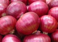Fruits and vegetables - Image 1