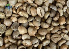 Robusta Coffee scr 18-Wet Polished - Image 3