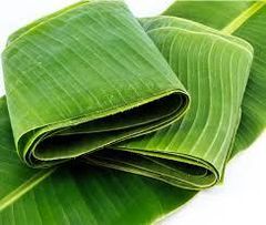 Fresh Green Banana Leaves from India - Image 1