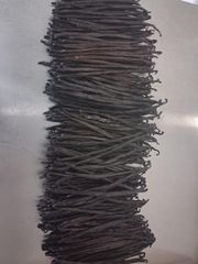Vanilla Bean Gourmet Planifolia - Image 2