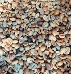 VIETNAMESE ARABICA GREEN BEANS COFFEE FULL WASHED FOR BULK, EXPORT QUALITY – product photo 5, product detail gallery