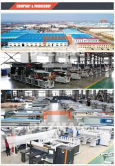 Dezmag Cutting Woodworking Machine Precision Sliding Table Panel Saw - Image 6