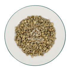 VIETNAM ROBUSTA COFFEE GRADE 1 SCREEN 16, 1%BB – product photo 2, product detail gallery