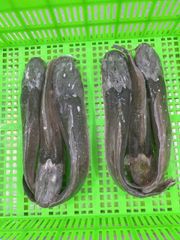 Walking Catfish Origin Vietnam Antibiotic Use Free Chemical Additives Free Product Type Fish & Fish Products Antibiotic Monitoring Strictly Monitored According To Antibiotic Form Farmed - Image 3