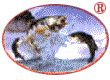 SHANTOU YUNXING TRADING CO.,LTD.