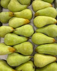 Fresh Forelle, Packhams, Rosemary pears for sale - Image 2