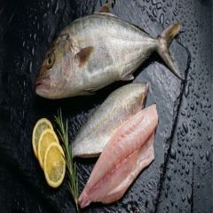 FROZEN AMBERJACK FISH – WHOLE & FILLETS – product photo 1, product detail gallery