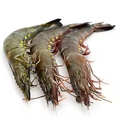 Fresh Shrimps Available Type Shrimp Style Fresh Content food Address London Weight (kg) 0.4 Manufacturer OEM Specification - Image 5