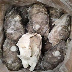 FROZEN FISH HEAD - Image 6