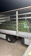 Iranian Mazafati dates with premium quality and international standards to market - Image 1