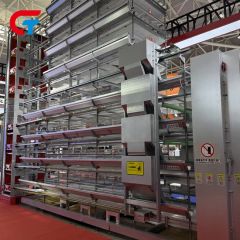 Hot Galvanizing Good Quality H Type Farming Poultry Battery Cage - Image 5