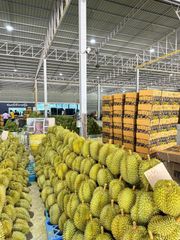 Durian – product photo 4, product detail gallery