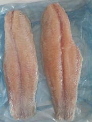 Walking catfish Packaging Unit 1 Kg/bags Glazing Percentage 10-30% Net Weight Percentage 90-70% Minimum Order Quantity 1 * 20 Feet - Image 1