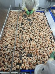 Frozen Cooked PDTO Vannamei Shrimp - Image 4