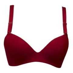 Seamless Pure Cotton Ladies Sexy Bra Origin China Feature Sexy Pattern Solid Model NO. zb001 Bra Part Bra Cup Technics Knitted - Quanzhou Zonse Garment Co., Ltd.