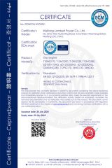 GAS Engine Ce Certificate certificate from Weifang Lambert Power Co., Ltd