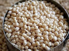 White Lentils – product photo 2, product detail gallery