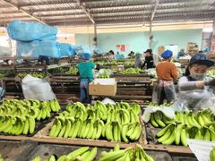 Fresh Banana – product photo 4, product detail gallery