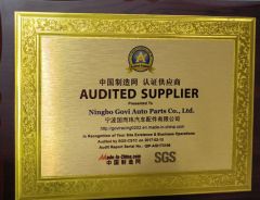 SGS AUDIT SUPPLIER certificate from Ningbo Govi Auto Parts Co., Ltd.
