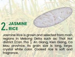 VIETNAM JASMINE RICE 5% BROKEN MAX (DT8) - Image 2