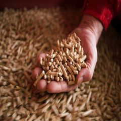 Certified Quality Wood Pellets Engineered For Maximum Heat Efficiency And Cleaner Burning Wholesale Price - Image 3