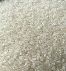 VIETNAMESE JAPONICA 5% BROKEN MAX (SUSHI RICE) - Image 1
