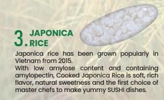 VIETNAMESE JAPONICA 5% BROKEN MAX (SUSHI RICE) - Image 2