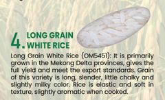 Premium White Rice – product photo 2, product detail gallery