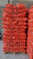 Onions - Image 3