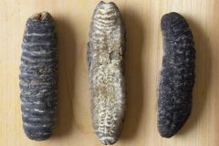 Dried Sea Cucumber Type TT Form Dried Packaging Bag Brand Viet Delta Grade AA, Top Grade Feature Nutritious, Nature Shelf Life 2 YEARS, 2 Years - Image 1