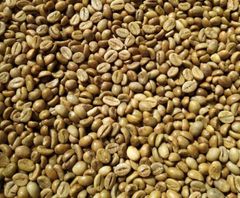 Global Agrinesia Abadi – Authentic Java Origin Green Coffee Beans Arabica & Robusta | Indonesian Terroir Series – product photo 5, product detail gallery