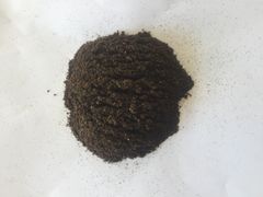 RENDAH PLANIFOLIA GOURMET MEDIUM VANILLA POWDER 100% Natural Hot Selling Indonesian Best Bourbon Quality with Best Price - Image 2