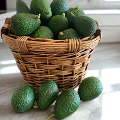 Fresh Avocado Premium Quality Ripe Green Fruit For Healthy Meals Natural Taste And Everyday Nutritious Food Supply - Image 4
