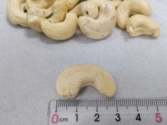 Cashew Nuts W320 White Kernel Top Quality Flavored Cashew Nuts W320 OEM Service Free Sample - Image 3