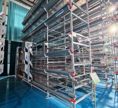 layers husbandry equipment - Image 1