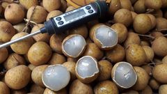 Premium Product Natural Sweet Thailand Fresh Longan Fruit Grade AA Shape Round Style Fresh Type LONGAN Weight (kg) 0.5 Color Brown - Image 3