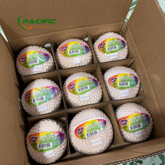 Fresh Young Coconut FDA Certificate, high BRIX – product photo 8, product detail gallery