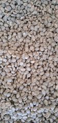 Wholesale and retail organic premium arabica coffee beans Type Washed Origin Tanzania Max. Moisture (%) >8% Species Coffee Arabica - Image 3