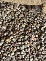 Cashew nuts – product photo 2, product detail gallery