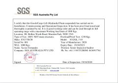 SGS certificate from Jinan Xyztech Machinery Co., Ltd