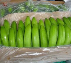 High quality bananas from Vietnam/fresh bananas/100% tax free – product photo 4, product detail gallery