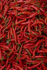 Frozen Red Chili Hot Chili Pepper With High Quality - Chili Pepper  - Image 1