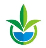 G and N Fortune Limited