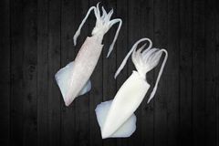 squidFrozen Whole Squid whole and cleaned  & Exporter India | Loligo, Semi & Needle Squid | IQF & Bulk Wholesale Seafood - Image 1