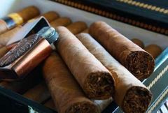 Javanese tobacco Texture Rich Port Semarang Yield Abundant Aroma Distinctive Place of Origin indonesia Soil Type Fertile Volcanic Soils - Image 5