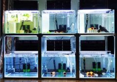Industrial Aluminium Extrusions Profile Frame System for Fish Tank Rack - Image 2