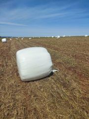 Brazilian Tifton Hay & Pre-Dried Forage – Tifton 85, Tifton 68, Oat & Ryegrass - Image 1