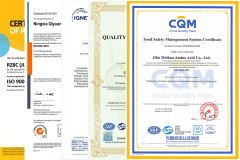 ISO certificate of Tianjin Prime Chemical Co., Ltd. – certificate photo, supplier certificates section