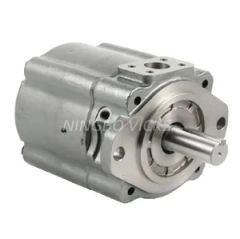 Advanced Performance Servo Vane Pumps for Industrial Use Origin Ningbo Flow 100.5ml/R Type Vane Pump Min Speed 50rpm Trademark Nvicks - Image 5