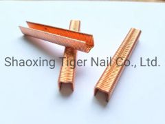 Industrial Wire Staple (FT-8) for Bagging & Vegetable or Agriculture - Shaoxing Tiger Nail Co., Ltd.